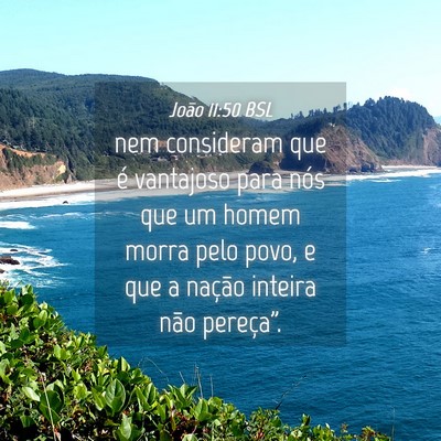 Picture 04 - João 11:50 BSL - nem consideram que é vantajoso para nós que um - Bible Verse Picture