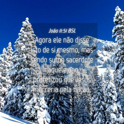 Picture 04 - João 11:51 BSL - Agora ele não disse isto de si mesmo, mas sendo - Bible Verse Picture