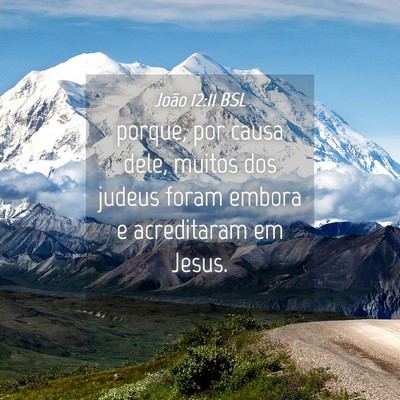 Picture 04 - João 12:11 BSL - porque, por causa dele, muitos dos judeus foram - Bible Verse Picture