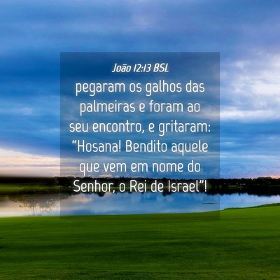 Picture 04 - João 12:13 BSL - pegaram os galhos das palmeiras e foram ao seu - Bible Verse Picture