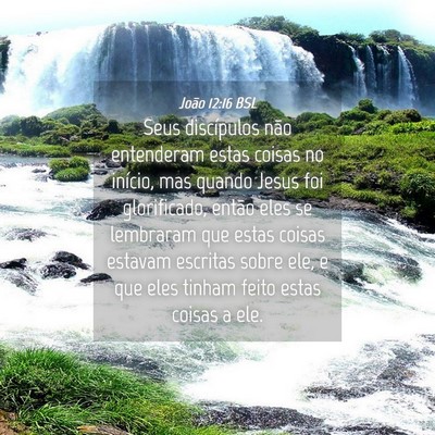 Picture 04 - João 12:16 BSL - Seus discípulos não entenderam estas coisas no - Bible Verse Picture
