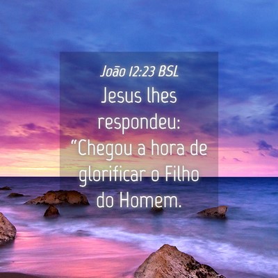 Picture 04 - João 12:23 BSL - Jesus lhes respondeu: “Chegou a hora de - Bible Verse Picture
