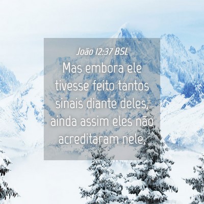 Picture 04 - João 12:37 BSL - Mas embora ele tivesse feito tantos sinais diante - Bible Verse Picture