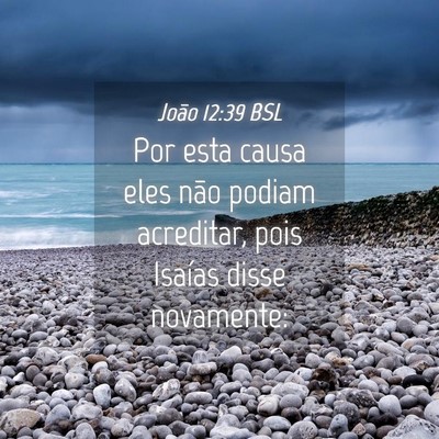 Picture 04 - João 12:39 BSL - Por esta causa eles não podiam acreditar, pois - Bible Verse Picture
