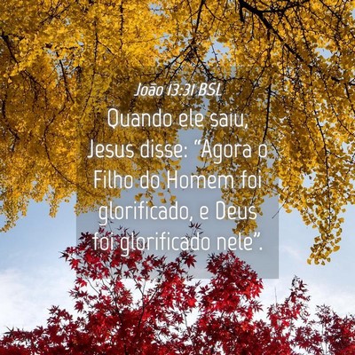Picture 04 - João 13:31 BSL - Quando ele saiu, Jesus disse: “Agora o Filho do - Bible Verse Picture