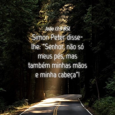 Picture 04 - João 13:9 BSL - Simon Peter disse-lhe: “Senhor, não só meus - Bible Verse Picture