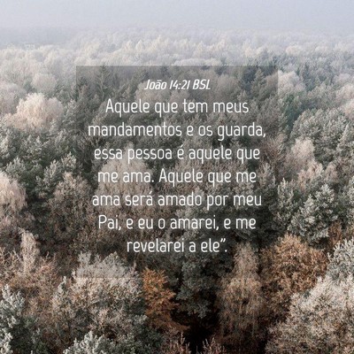 Picture 04 - João 14:21 BSL - Aquele que tem meus mandamentos e os guarda, essa - Bible Verse Picture