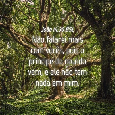 Picture 04 - João 14:30 BSL - Não falarei mais com vocês, pois o príncipe do - Bible Verse Picture