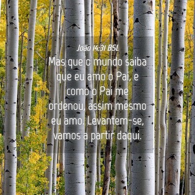 Picture 04 - João 14:31 BSL - Mas que o mundo saiba que eu amo o Pai, e como o - Bible Verse Picture