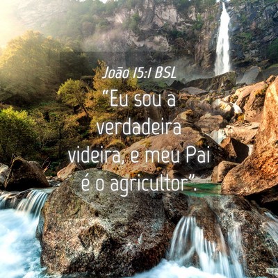 Picture 04 - João 15:1 BSL - “Eu sou a verdadeira videira, e meu Pai é o - Bible Verse Picture