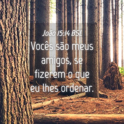 Picture 04 - João 15:14 BSL - Vocês são meus amigos, se fizerem o que eu lhes - Bible Verse Picture