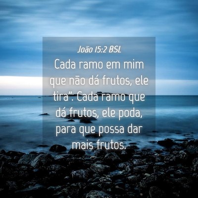 Picture 04 - João 15:2 BSL - Cada ramo em mim que não dá frutos, ele - Bible Verse Picture