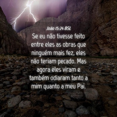 Picture 04 - João 15:24 BSL - Se eu não tivesse feito entre eles as obras que - Bible Verse Picture