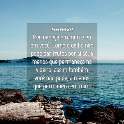 Picture 04 - João 15:4 BSL - Permaneça em mim e eu em você. Como o galho - Bible Verse Picture