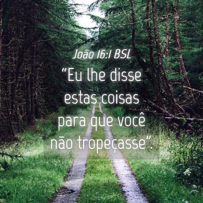 Picture 04 - João 16:1 BSL - “Eu lhe disse estas coisas para que você não - Bible Verse Picture