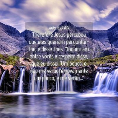 Picture 04 - João 16:19 BSL - Therefore Jesus percebeu que eles queriam - Bible Verse Picture