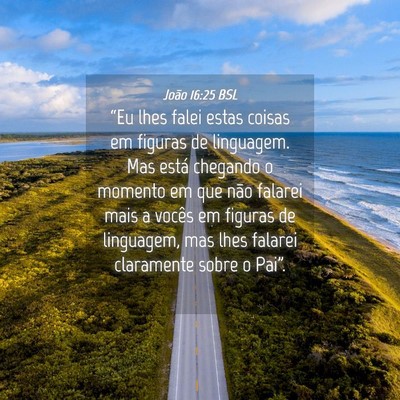 Picture 04 - João 16:25 BSL - “Eu lhes falei estas coisas em figuras de - Bible Verse Picture