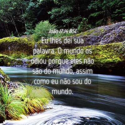 Picture 04 - João 17:14 BSL - Eu lhes dei sua palavra. O mundo os odiou porque - Bible Verse Picture