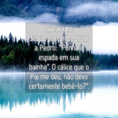 Picture 04 - João 18:11 BSL - Jesus, portanto, disse a Pedro: “Ponha a espada - Bible Verse Picture