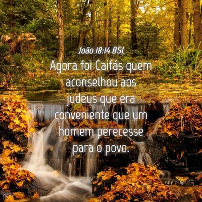 Picture 04 - João 18:14 BSL - Agora foi Caifás quem aconselhou aos judeus que - Bible Verse Picture