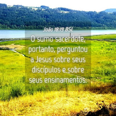 Picture 04 - João 18:19 BSL - O sumo sacerdote, portanto, perguntou a Jesus - Bible Verse Picture