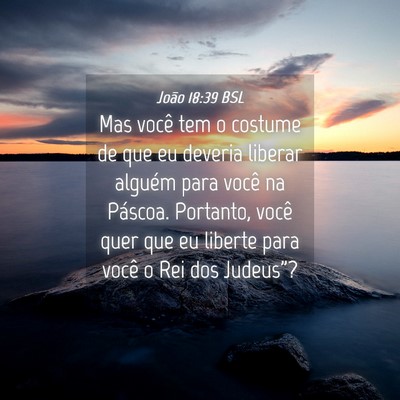Picture 04 - João 18:39 BSL - Mas você tem o costume de que eu deveria liberar - Bible Verse Picture
