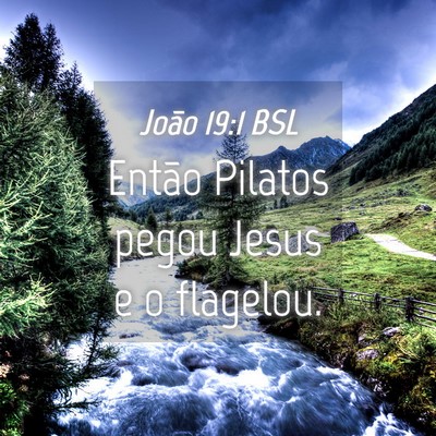 Picture 04 - João 19:1 BSL - Então Pilatos pegou Jesus e o - Bible Verse Picture