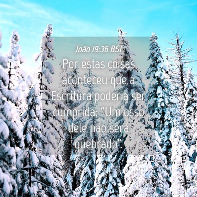 Picture 04 - João 19:36 BSL - Por estas coisas aconteceu que a Escritura - Bible Verse Picture