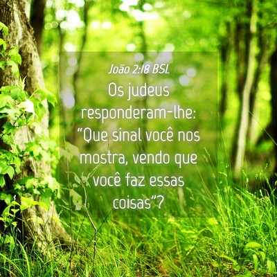 Picture 04 - João 2:18 BSL - Os judeus responderam-lhe: “Que sinal você nos - Bible Verse Picture