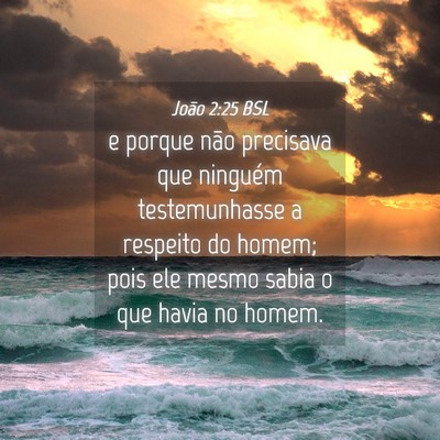 Picture 04 - João 2:25 BSL - e porque não precisava que ninguém - Bible Verse Picture