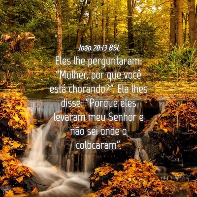 Picture 04 - João 20:13 BSL - Eles lhe perguntaram: “Mulher, por que você - Bible Verse Picture