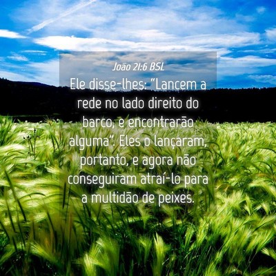 Picture 04 - João 21:6 BSL - Ele disse-lhes: “Lancem a rede no lado direito - Bible Verse Picture