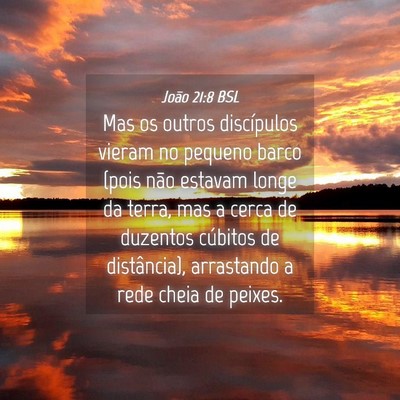 Picture 04 - João 21:8 BSL - Mas os outros discípulos vieram no pequeno barco - Bible Verse Picture