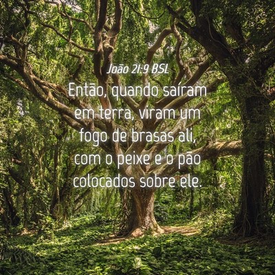 Picture 04 - João 21:9 BSL - Então, quando saíram em terra, viram um fogo de - Bible Verse Picture