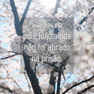 Picture 04 - João 3:24 BSL - pois João ainda não foi atirado na - Bible Verse Picture