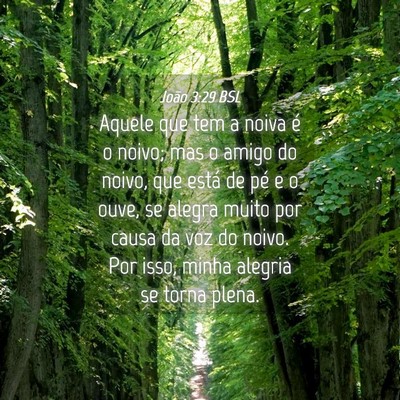 Picture 04 - João 3:29 BSL - Aquele que tem a noiva é o noivo; mas o amigo do - Bible Verse Picture