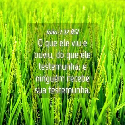 Picture 04 - João 3:32 BSL - O que ele viu e ouviu, do que ele testemunha; e - Bible Verse Picture