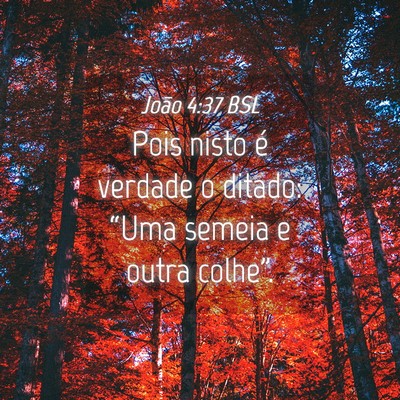 Picture 04 - João 4:37 BSL - Pois nisto é verdade o ditado: “Uma semeia e - Bible Verse Picture