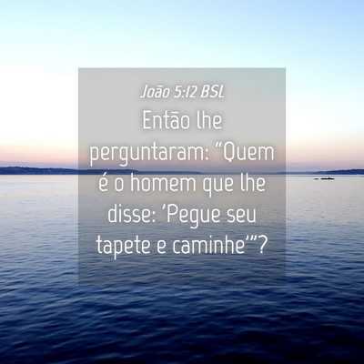 Picture 04 - João 5:12 BSL - Então lhe perguntaram: “Quem é o homem que - Bible Verse Picture