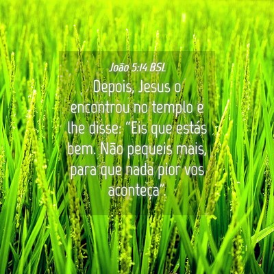 Picture 04 - João 5:14 BSL - Depois, Jesus o encontrou no templo e lhe disse: - Bible Verse Picture