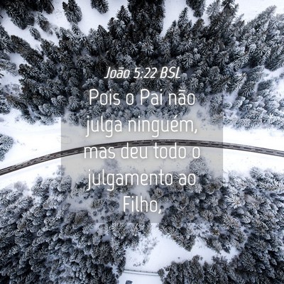 Picture 04 - João 5:22 BSL - Pois o Pai não julga ninguém, mas deu todo o - Bible Verse Picture