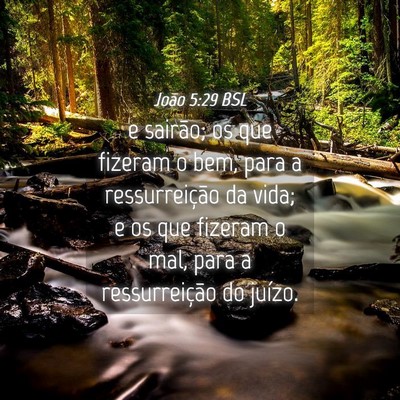 Picture 04 - João 5:29 BSL - e sairão; os que fizeram o bem, para a - Bible Verse Picture