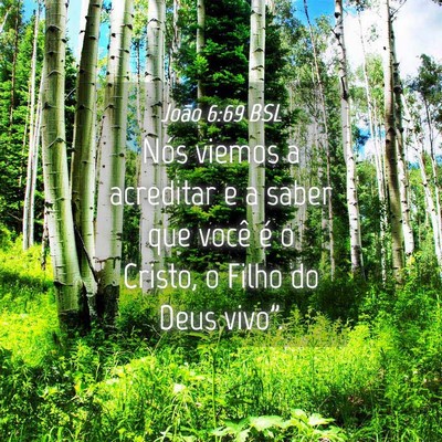 Picture 04 - João 6:69 BSL - Nós viemos a acreditar e a saber que você é o - Bible Verse Picture