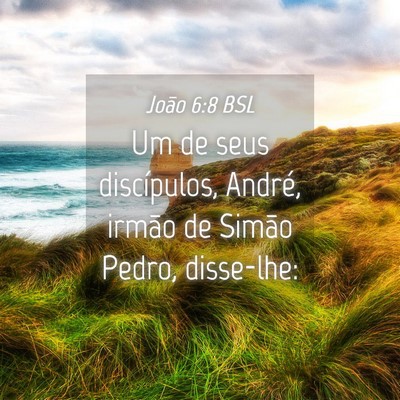 Picture 04 - João 6:8 BSL - Um de seus discípulos, André, irmão de Simão - Bible Verse Picture
