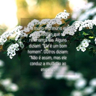Picture 04 - João 7:12 BSL - Havia muito murmúrio entre as multidões que se - Bible Verse Picture