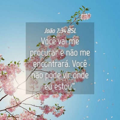 Picture 04 - João 7:34 BSL - Você vai me procurar e não me encontrará. - Bible Verse Picture