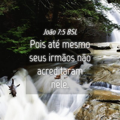 Picture 04 - João 7:5 BSL - Pois até mesmo seus irmãos não acreditaram - Bible Verse Picture