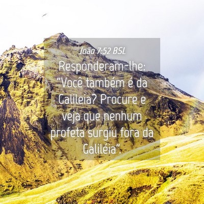 Picture 04 - João 7:52 BSL - Responderam-lhe: “Você também é da Galileia? - Bible Verse Picture