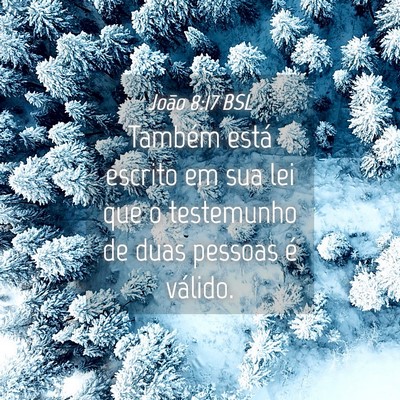 Picture 04 - João 8:17 BSL - Também está escrito em sua lei que o testemunho - Bible Verse Picture