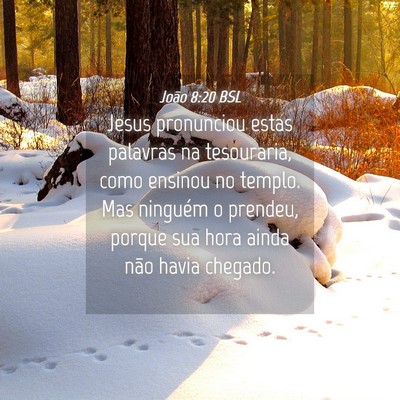 Picture 04 - João 8:20 BSL - Jesus pronunciou estas palavras na tesouraria, - Bible Verse Picture